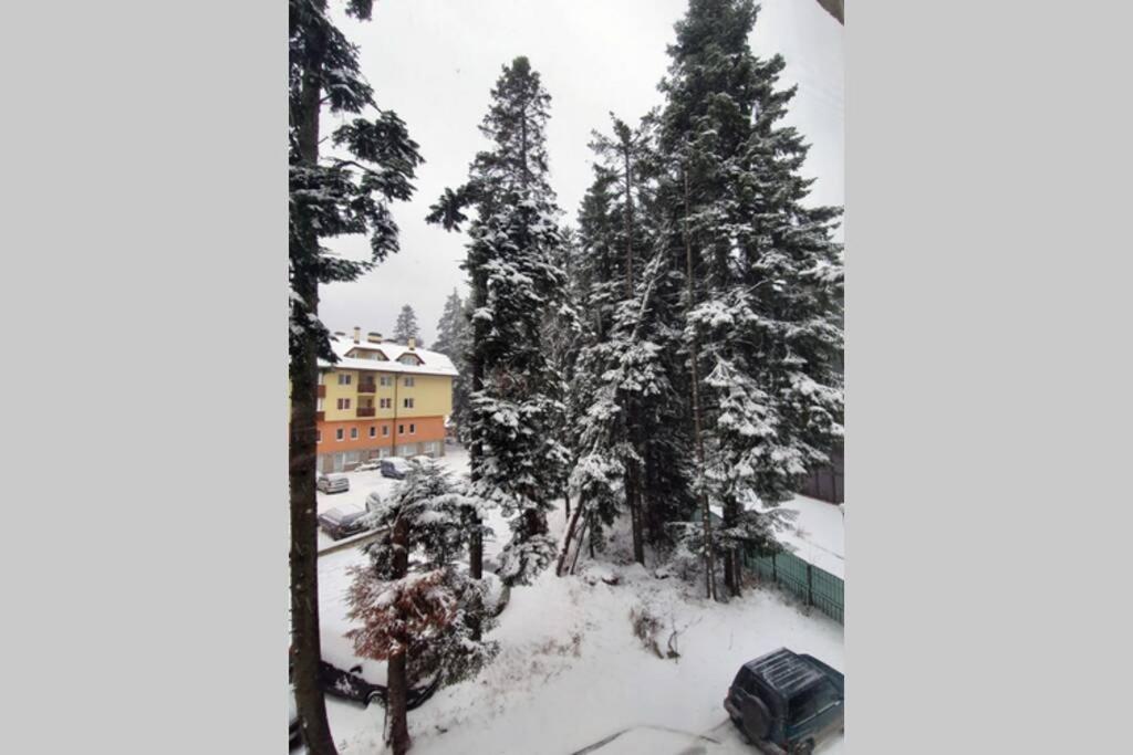 Cozy One Bedroom Apartment In Iglika Complex Borovec Kültér fotó